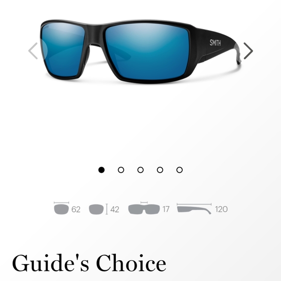 Smith optics guide's choice black polarized blue l